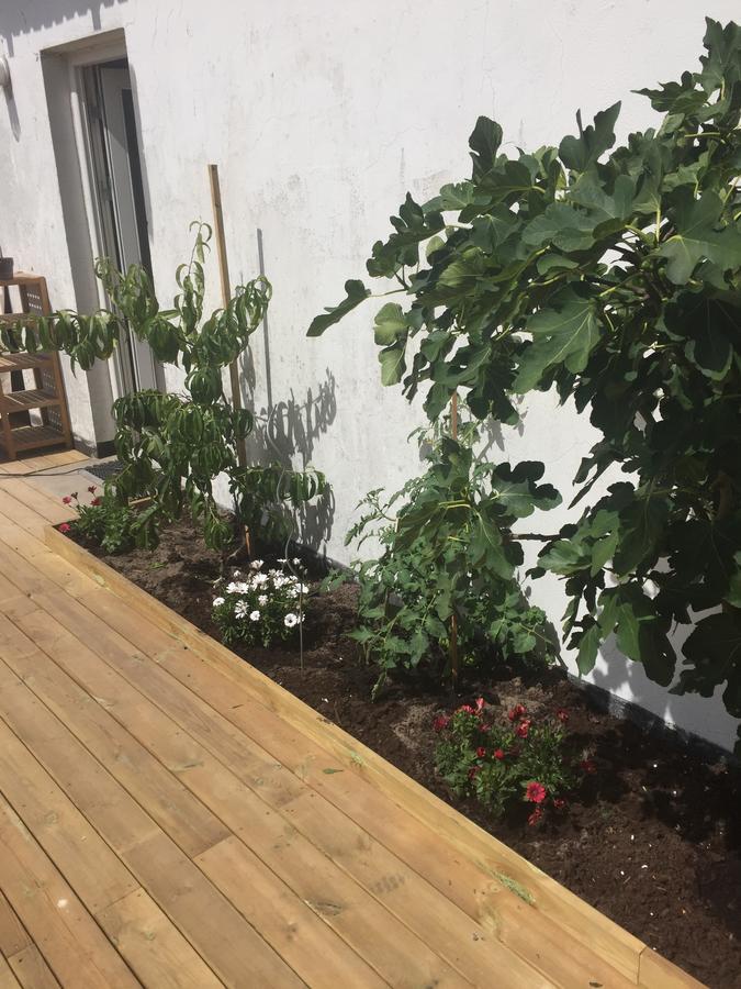 Bønnerup StrandMolino住宿加早餐旅馆 外观 照片
