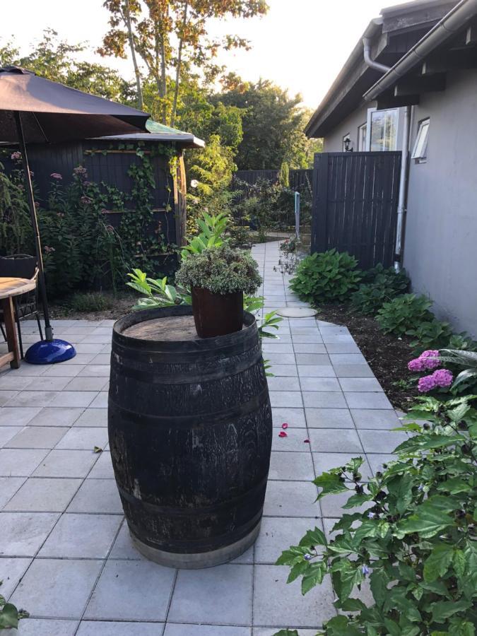 Bønnerup StrandMolino住宿加早餐旅馆 外观 照片